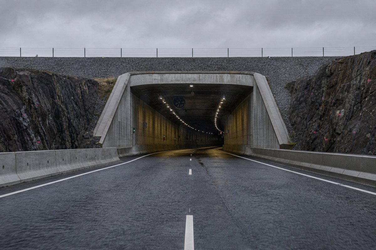 Road tunnel portal in Denmark: flat coastal landscape, the mouth of an immersed tube approach ramp, in flat overcast light, a low camera position near the road surface. (AI-generated image)